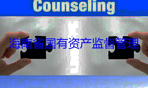 理委员会党资产监督管有福接受审查调查海南省国有委副书记王